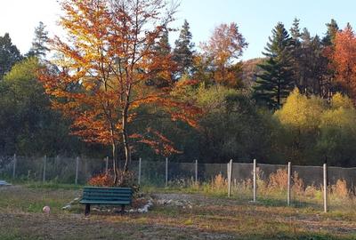 Teren intravilan 1.500 mp in Sacele – utilitati, platforma betonata si potential - 1