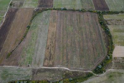 Teren agricol de 34.500mp in Albina, Jude?ul Timi? Teren agricol de 34.500mp in Albina, Jude?ul Timi? - 4