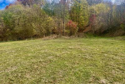 Teren la padure, panoramic dealuri si paduri, curent si asfalt - 4
