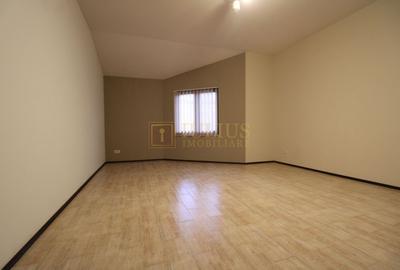 Cetatii; 5 camere, spatiu depozitare, garaj, curte, ideal pentru sediu firma. - 17