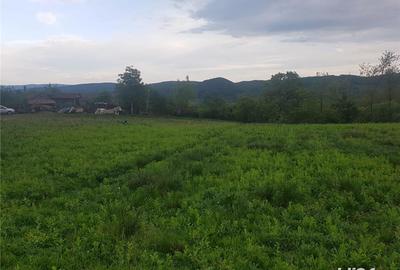 Teren de 1000 mp, în Vlădești
