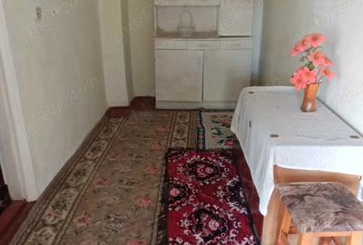 Casa de vanzare in Dambroca, Buzau - 7