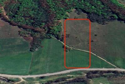 Teren Construcții intravilan de 22800 mp, în Mihăești - 13