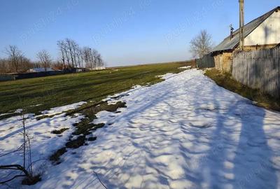 Teren de 1735 mp, în Bițina-Ungureni - 1