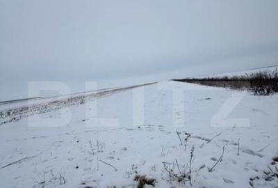 Teren de 9000 mp, în Central