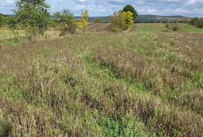 Vand casa si gradina in sat Breazova Jud Timi? - 2