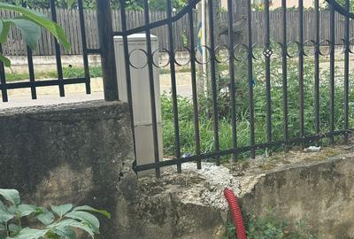 Casa in Branesti - 7