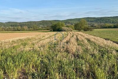 Teren de 1161 mp, în Remetea Chioarului - 2