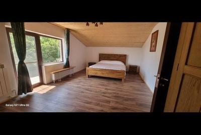 Casă cu 4 camere în Alunișu - 9