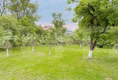 Casă cu 3 camere cu Teren 2000 Mp în Moreni - 10