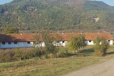 In Cislau teren intravilan parcelabil 500- 1000 mp 16 euro mp. - 5