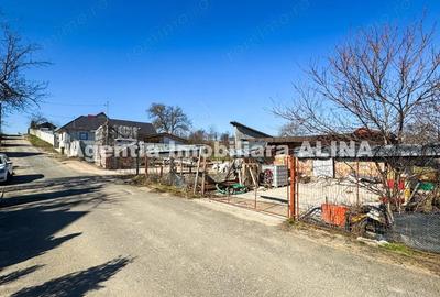 Teren de 600 mp, în Criș - 5