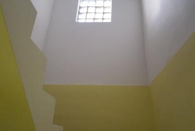 Vand vila in Cazanesti, sos. Bucuresti 161, jud. Ialomita - 6