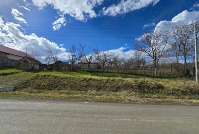 Herneacova-Casa si Teren-Livada- 2876 mp- Front 37m - 1