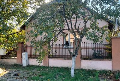 Casa de vanzare comuna Parta judetul Timis - 7