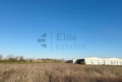 Teren industrial Santandrei Teren industrial Santandrei - 4