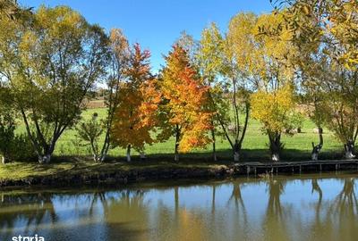 Teren de 631 mp, în Agapia - 4