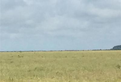 Teren în Central - 1