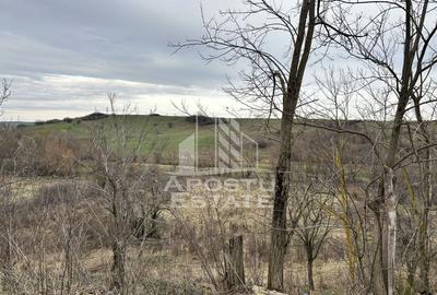 Teren 1942 mp, ideal casa de vacanta, alte activitati, Herneacova. - 2