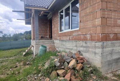 Baia Sprie, casa la rosu - 3