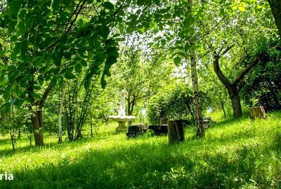 Spațiu comercial, în Cheia - 8