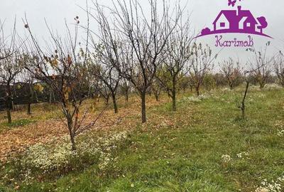 Parcela de teren Nojorid - 1