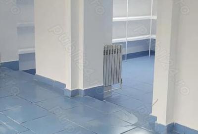 Spațiu comercial, de 47 mp, în Vest - 3
