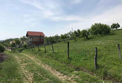 Teren în Stoenești - 4