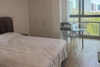 Floreasca Lux Ap 3 cam langa lac 166mp - 14