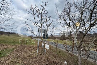 Teren agricol intravilan de 3423 mp, în Copalnic - 3