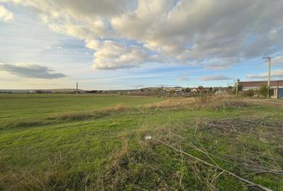 Teren si proiect, 15813mp, fata Skoda - 9