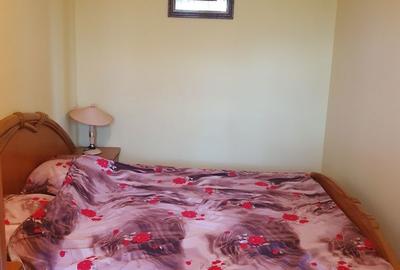 Apartament cu 2 camere nedecomandat în Românești - 4