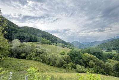 Teren extravilan 23.376 mp, in apropiere de Brad Teren extravilan 23.376 mp, in apropiere de Brad - 8