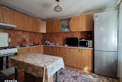 Casă cu 3 camere cu Teren 2826 Mp în Saca - 14