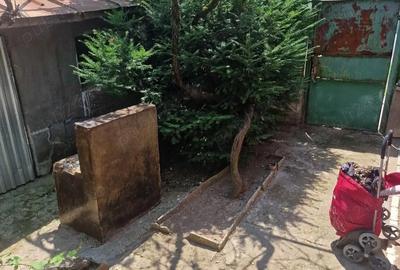 Casă cu 3 camere în Deta - 3