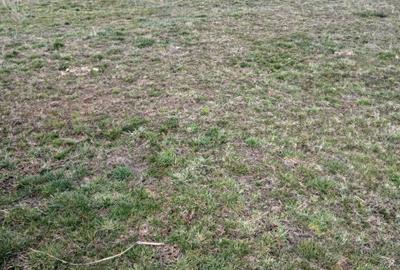 Spațiu comercial, în Cristian - 2