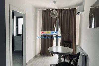 Garsonieră decomandată, mobilată în Theodor Pallady - 10