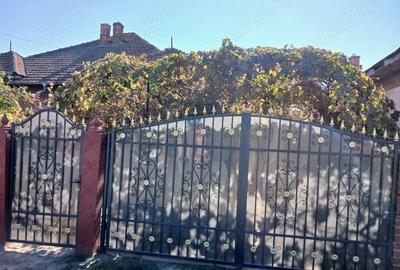 Casă cu 2 camere cu Teren 2000 Mp în Cârna - 1