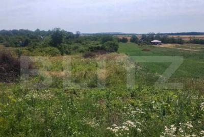 Teren de 1918 mp, în Ardud - 1