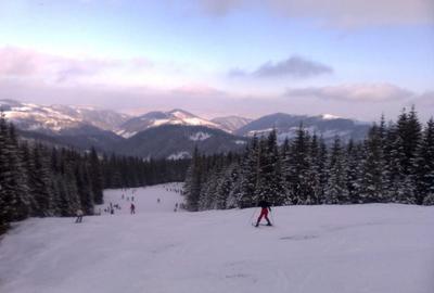 Teren de vanzare, Muntele Baisorii, zona de cabane - 1
