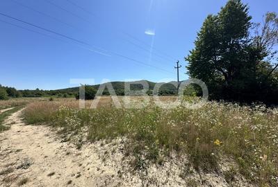 Teren extravilan 1900 mp cu utilitati in apropiere pe Valea Sebesului - 2