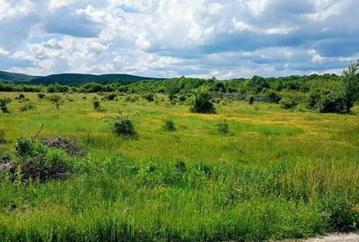 Teren de 1500 mp, în Merișani - 1
