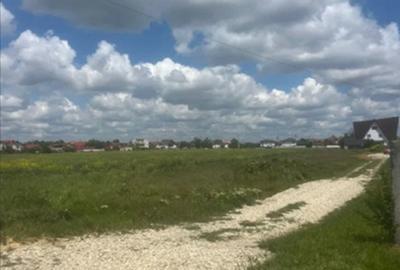 Teren Magurele 2403 mp Str Stejarului New 2025 - 3