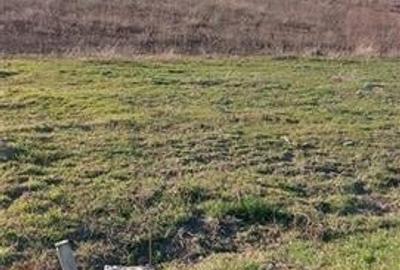 Teren TOP 1400mp /18ml stradal  Vanatori (Odaia Manolache) - 4