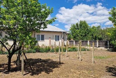 Casă cu Teren 1045 Mp în Ciorani - 1
