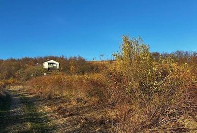 Teren de 897 mp, în Iorga