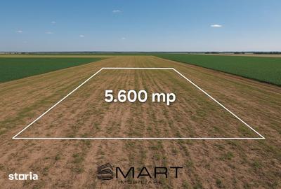 Teren de 5600 mp, în Daia Română