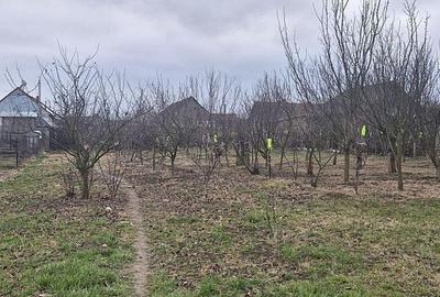 Casă cu 2 camere cu Teren 4000 Mp în Tăut