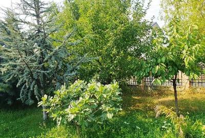 Vanzare teren  Bragadiru- Leroy Merlin - 561mp - 70000E -Comision 0! - 10