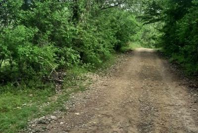 Teren de 4100 mp, în Rușavăț - 5